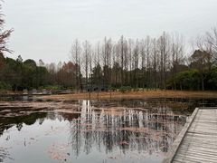 -长广溪湿地公园