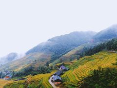 -紫鹊界梯田景区