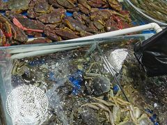 -王四营海鲜市场