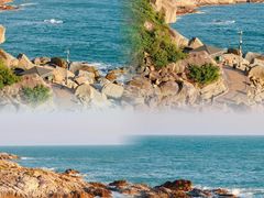 -广东惠东海龟国家级自然保护区