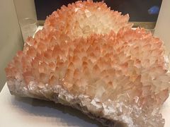 -天津自然博物馆