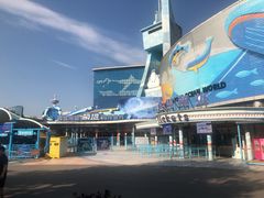 -海合安青岛极地海洋公园