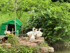 -太湖饭店·寄畅轩中餐厅