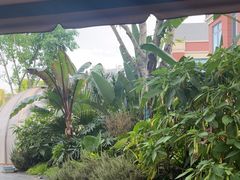-悦见花开·花园里的火锅·露营·下午茶