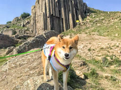 -石条山