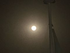 -海事大学图书馆(临港校区)