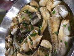 -胜记大排档·台山本地海鲜·台山黄鳝饭