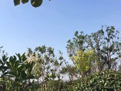 -泰康之家·申园