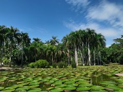 -中国科学院西双版纳热带植物园
