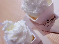 -野人先生现做冰淇淋(北京顺义祥云小镇店)