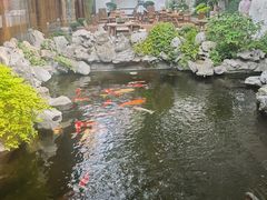 -鲤院·新中式美学·庭院餐厅(夫子庙店)