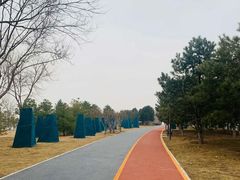 -大兴滨河森林公园