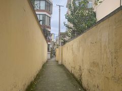 -嘉善老市