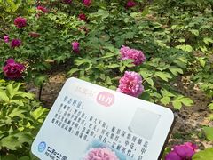 -仁和公园(顺义区)
