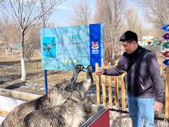 -水上乐园·欢乐世界