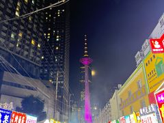 -辽宁电视塔