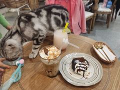 -共舞时光猫咖·狗咖(新街口店)