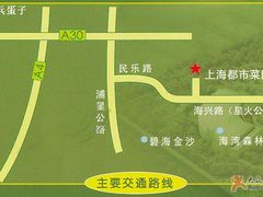 -上海都市菜园