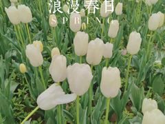 -陕西省西安植物园