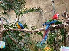 -杭州开元森泊度假乐园