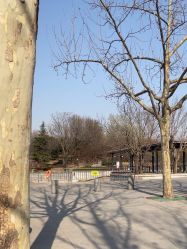 -大望京儿童游乐场