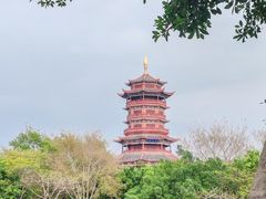 -厦门园林博览苑