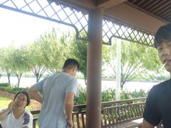 -松山湖梦幻百花洲
