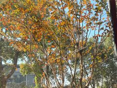 -滴水坊(星云文教馆店)