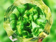 -家乐福(川沙店)