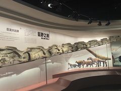 -自贡恐龙博物馆