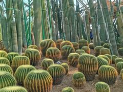 -南山植物园