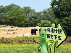 -北京野生动物园