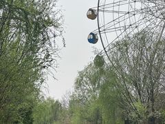 -洛阳市隋唐城遗址植物园