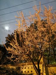 -DOS HOP潮上舞蹈