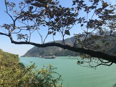 -羚羊峡古栈道森林公园
