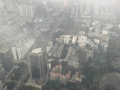 闲逸廊-瑞吉酒店·The Drawing Room闲逸廊·云端下午茶·夜奢Whiskey
