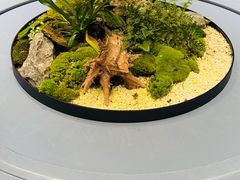 -许家菜(望江店)