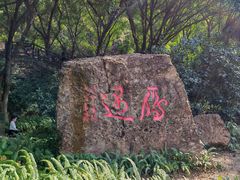 -大雁山风景区