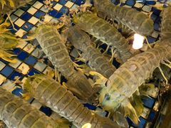 -顺德了能馆(虎门店)