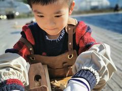 -大果情商(亲藤店)