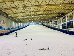 -乔波室内滑雪场