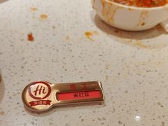 -海底捞火锅(吾悦国际广场店)