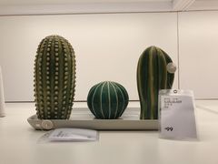 -宜家家居(哈尔滨商场店)