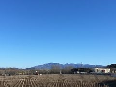 -北京张裕爱斐堡酒庄
