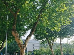 -汉水谣·江景餐厅(江滩店)