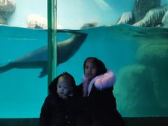 -泉城欧乐堡海洋极地世界
