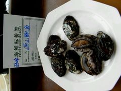 崂山鲍鱼-海岛渔村大酒店(云霄路店)