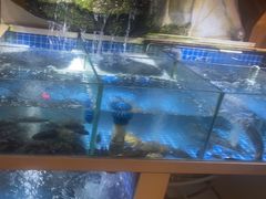 -头上红煨盐鸡·非遗院子餐厅