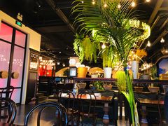 -成都娃娃花园餐厅 (南艺旗舰店)