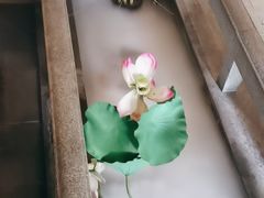 -新渝城·始于2000年(淘金店)